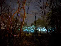 チームラボ 幽谷隠田跡の写真・動画_image_736224