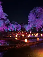 チームラボ 幽谷隠田跡の写真・動画_image_736225