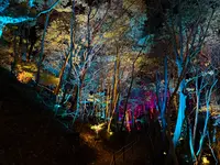 チームラボ 幽谷隠田跡の写真・動画_image_736227