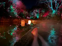 五浦 幽谷隠田跡温泉の写真・動画_image_736237