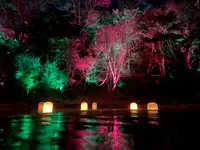 五浦 幽谷隠田跡温泉の写真・動画_image_736239