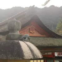 厳島神社の写真・動画_image_736662
