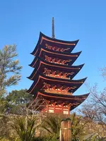 五重塔の写真・動画_image_736673