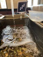 入善牡蠣ノ星の写真・動画_image_736760