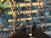 祖谷のかずら橋の写真・動画_image_736923