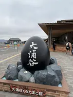 涌わくキッチンの写真・動画_image_736931