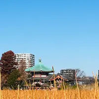 不忍池辯天堂の写真・動画_image_738382