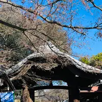 天王寺の写真・動画_image_738390