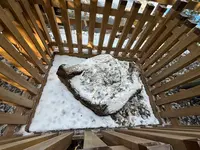 天河大弁財天社の写真・動画_image_739314