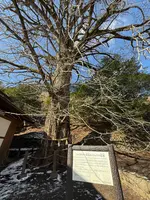 来迎院の写真・動画_image_739328