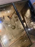 北条泰時邸跡の写真・動画_image_739978