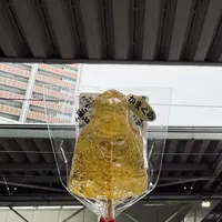 鎌倉駅加藤売店の写真・動画_image_740008