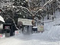 地獄谷野猿公苑の写真・動画_image_741407