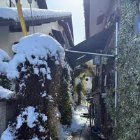 仙人掌の写真・動画_image_741716