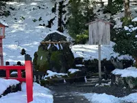 出雲大神宮の写真・動画_image_741717