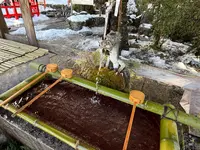 出雲大神宮の写真・動画_image_741720