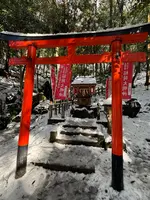 出雲大神宮の写真・動画_image_741721