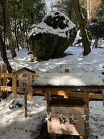 出雲大神宮の写真・動画_image_741723