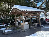 出雲大神宮の写真・動画_image_741724