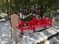 出雲大神宮の写真・動画_image_741725