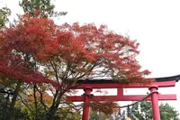 薬王院 本堂の写真・動画_image_742573