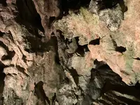 日原鍾乳洞の写真・動画_image_742897