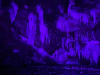 三十槌の氷柱の写真・動画_image_742947