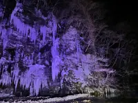 三十槌の氷柱の写真・動画_image_742952