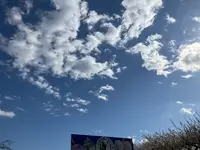 小田原牧場アイス工房の写真・動画_image_744438