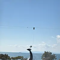 神戸須磨シーワールドの写真・動画_image_744680