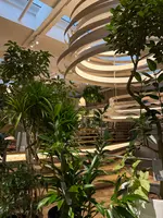 ノードリウム・京都の写真・動画_image_744703