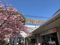 河津駅の写真・動画_image_745666