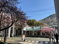 河津駅の写真・動画_image_745668