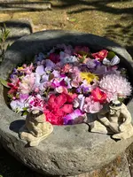 栖足寺の写真・動画_image_745702