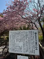 栖足寺の写真・動画_image_745703