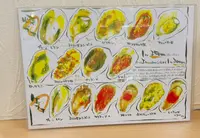広島名物 牡蠣一番の写真・動画_image_745809
