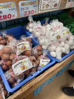 古賀市コスモス館の写真・動画_image_748346