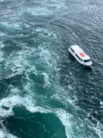 渦の道の写真・動画_image_751175