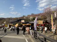 花見山の写真・動画_image_751514