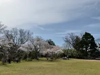 松ヶ岡公園の写真・動画_image_751734