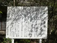 松ヶ岡公園の写真・動画_image_751736