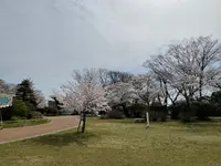松ヶ岡公園の写真・動画_image_751737