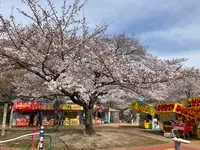松ヶ岡公園の写真・動画_image_751740