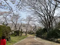 松ヶ岡公園の写真・動画_image_751741