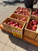 ファーマーズマーケットきらいち筑西店の写真・動画_image_751789