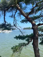 福浦橋の写真・動画_image_752620