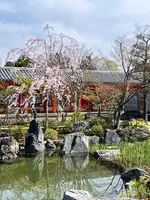 蓮華王院 三十三間堂の写真・動画_image_752698