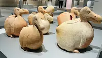 松本市立博物館の写真・動画_image_755828