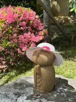 宝徳寺の写真・動画_image_756846