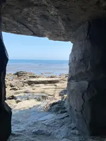 道の駅 雨晴の写真・動画_image_757399